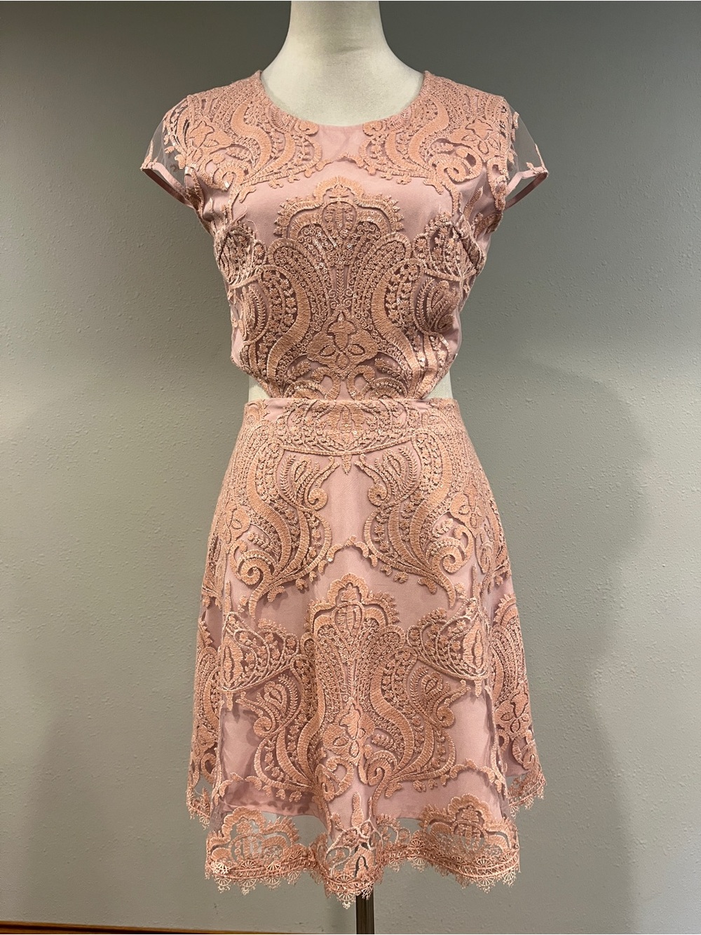 Minuet pale Pink Lace Fit & Flare cap sleeves mini Dress size small